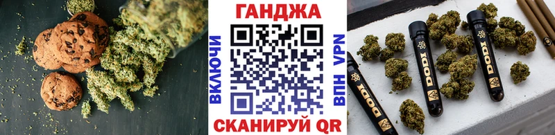 Cannafood конопля  цены   Балашиха 