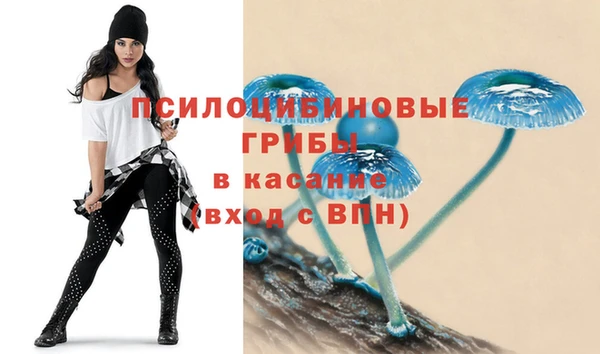 соль ск Бронницы