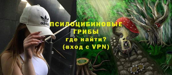 соль ск Бронницы