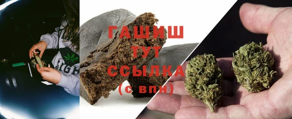 ECSTASY Богданович