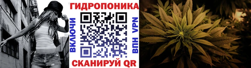 Конопля ГИДРОПОН  цена   Балашиха 